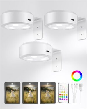 EZVALO Picture Lights for Wall, 200...