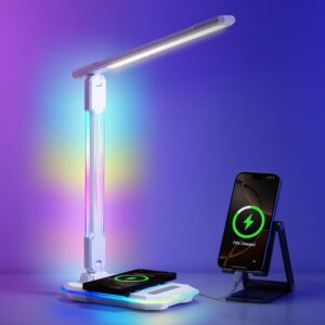 WILIT Desk Lamp for College Dorm Ro...