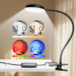 Desk Lamp with Clamp-10W，2-in-1 w...