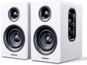 Sanyun SW208 3″ Active Blueto...