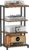 4-Tier Media Storage Stand, Audio Media Rack for Living Room, Gaming Room, Music Studio, Wooden Game Console Shelf for TV Accessories/Audiovisual Equipment/Optical Disc/PS4, Black